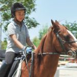 【愛知】乗馬レッスン、乗馬クラブ18選