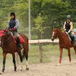 【札幌】乗馬レッスン、乗馬クラブ5選