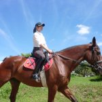 【千葉】乗馬レッスン、乗馬クラブ20選